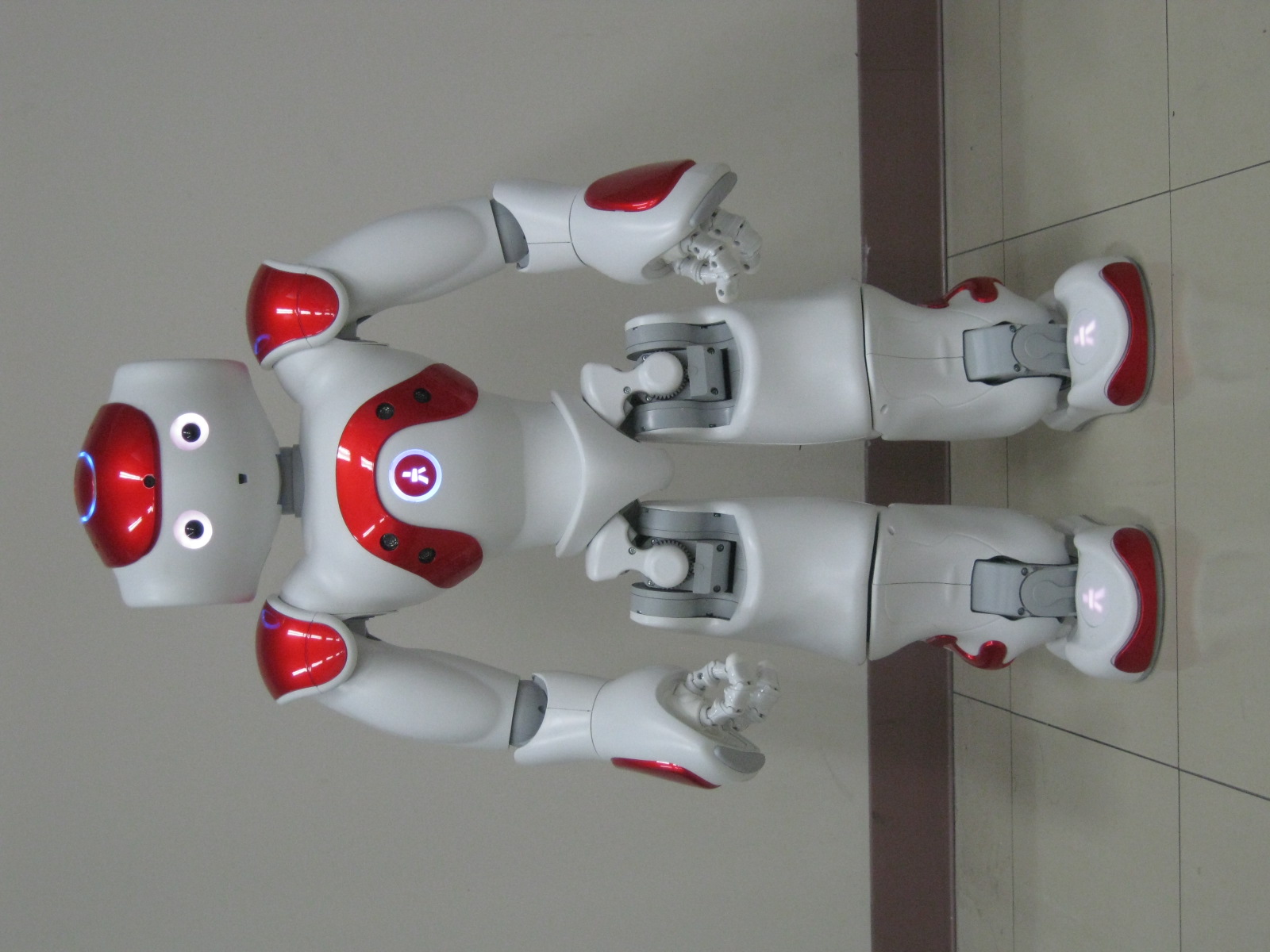 The humanoid robot used in the research