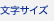 文字サイズ
