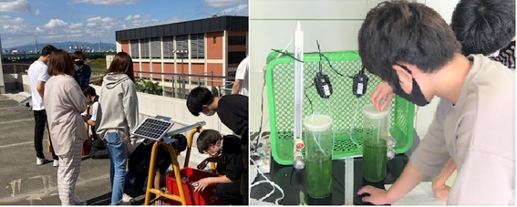 左：太陽光発電　右：微細藻類培養