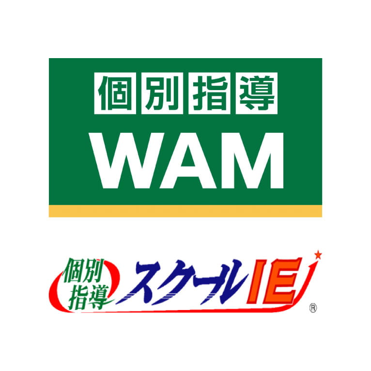 個別指導WAM、個別指導スクールIE