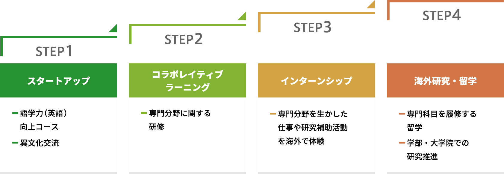 国際交流プログラム イメージチャート