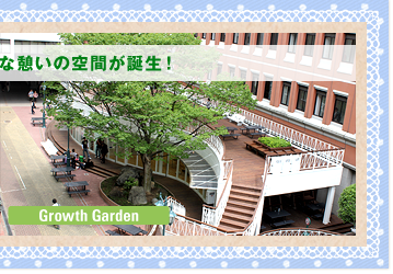 Growth Garden