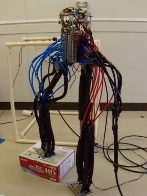 bipedal-physical.jpg(70459 byte)