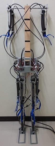 bipedal-physical3d.jpg