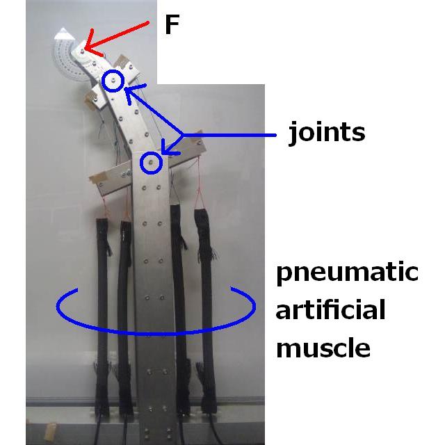 2-dof joint