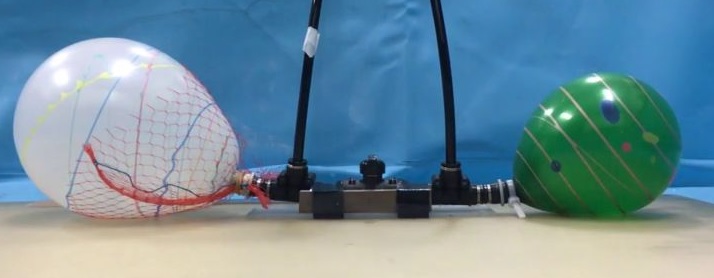 amoebot