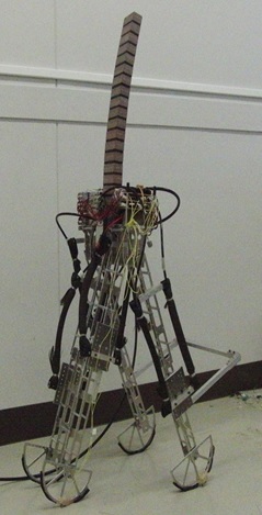 spine+biped testbed