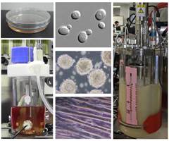 Bioreactors for biomanufacturing processes