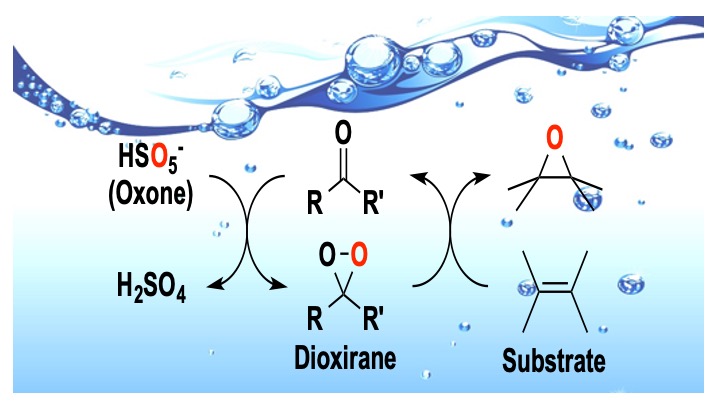 Effective Oxone-oxidation system of alkenes in water promoted by amphiphilic ketones.