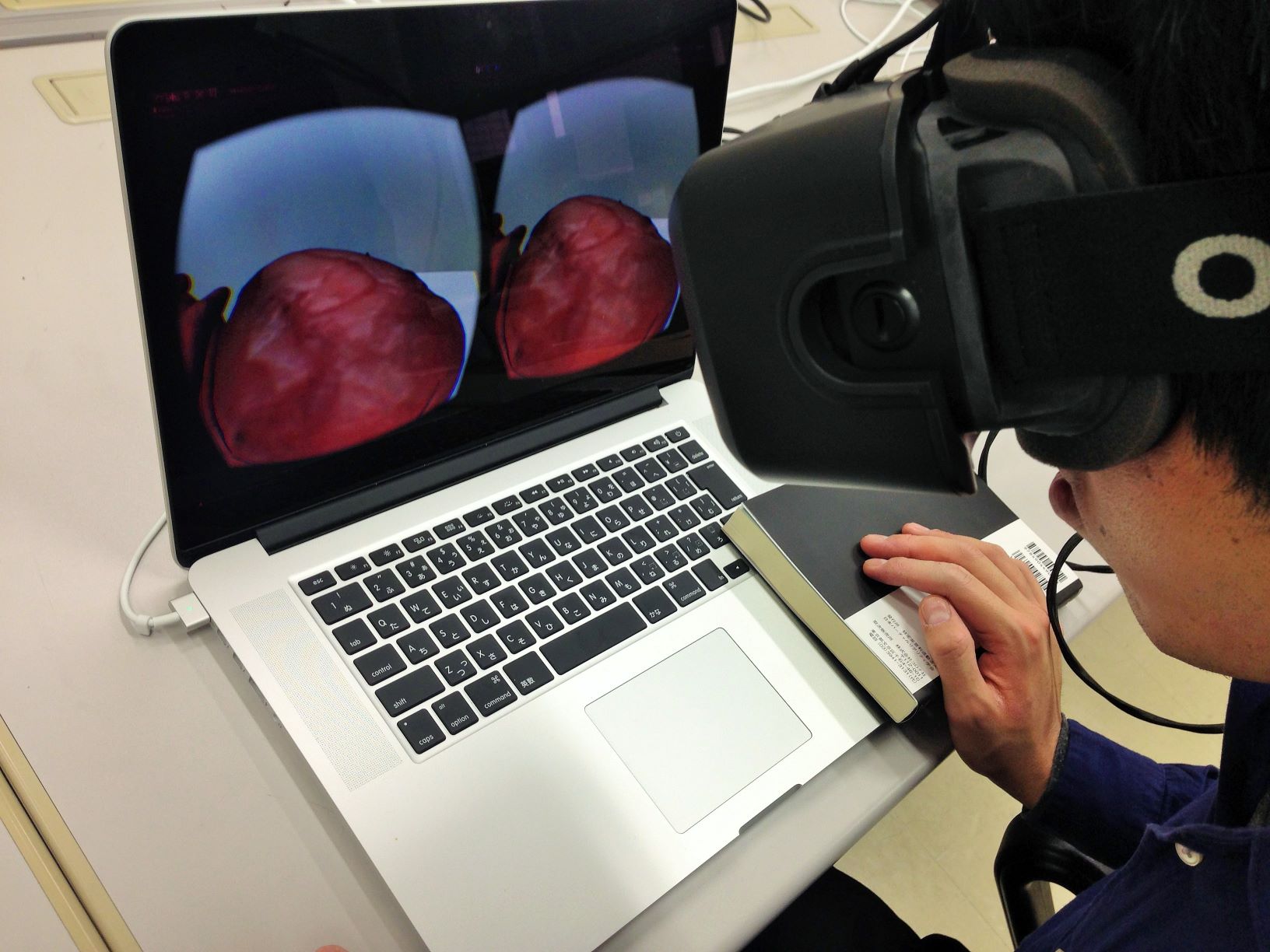 Using Virtual Reality to Observe the Heart