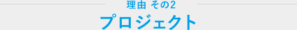 理由その2 プロジェクト