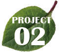 project02