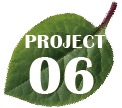 project06
