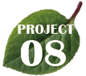 project08