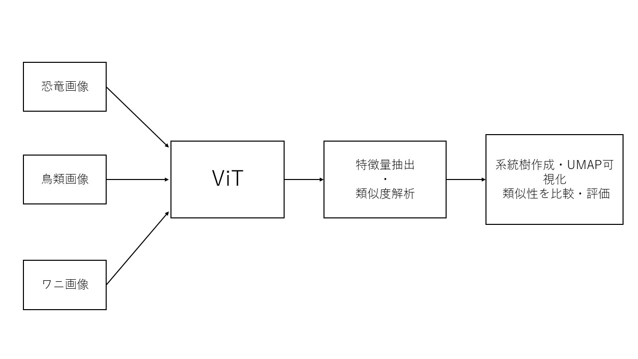 ViTを用いた恐竜と現生近縁種の画像類似性解析