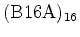 $(\rm B16A)_{16}$