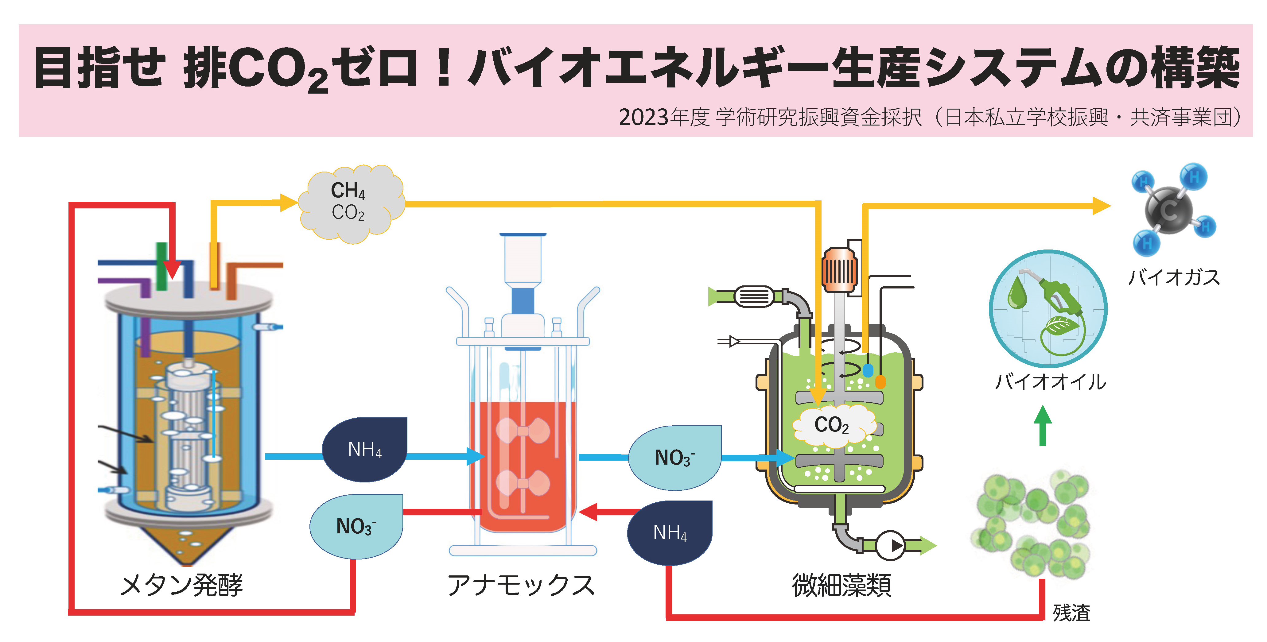 バイオエネルギー生産システムの構築の図
