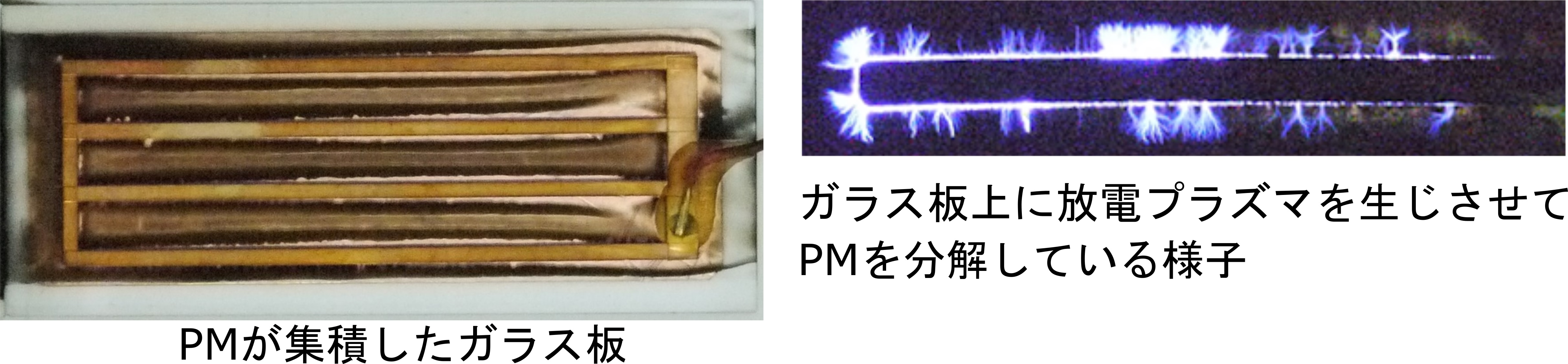 PM�W�ςƕ���