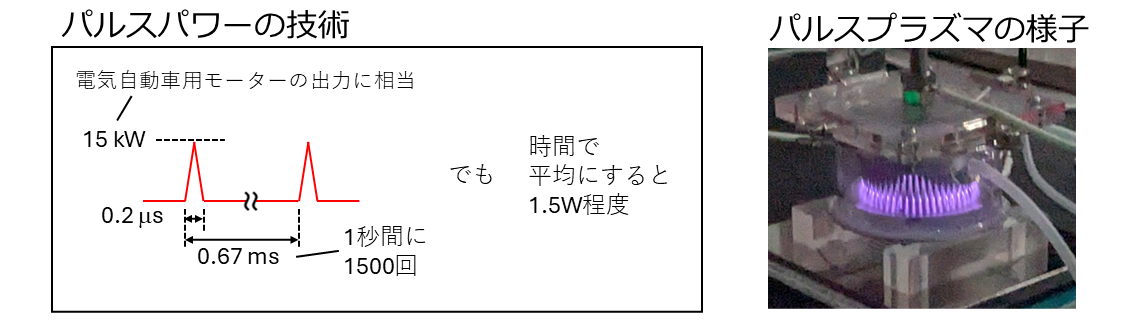 �p���X���d