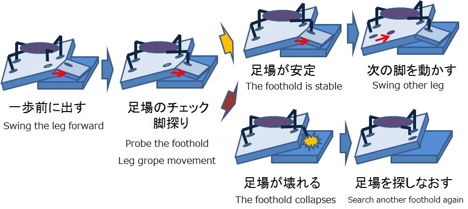 The flow of Leg-grope-walk